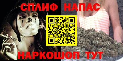 сатива Малгобек