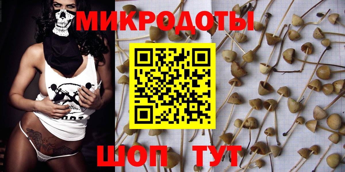 Галлюциногенные грибы Psilocybine cubensis  Галлюциногенные грибы MAGIC MUSHROOMS  Вход с VPN  Гурьевск 