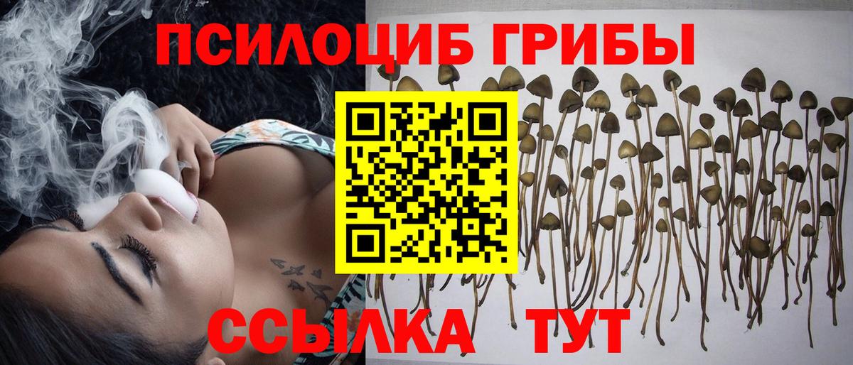 Псилоцибиновые грибы GOLDEN TEACHER Гурьевск
