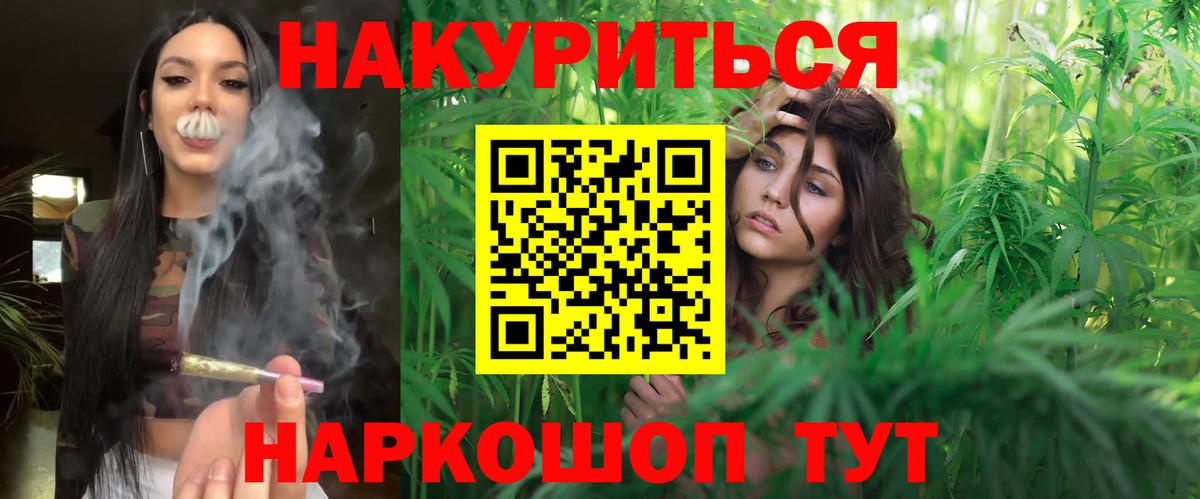 Бошки марихуана планчик  Вход с VPN  Бошки марихуана VHQ  Гурьевск 